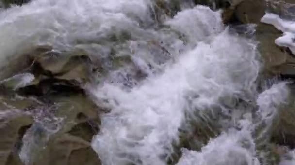 Rapid Flow of Water from a Mountain Creek and Stone Rapids with Snow. Waterfall Prut in the Winter. — 图库视频影像