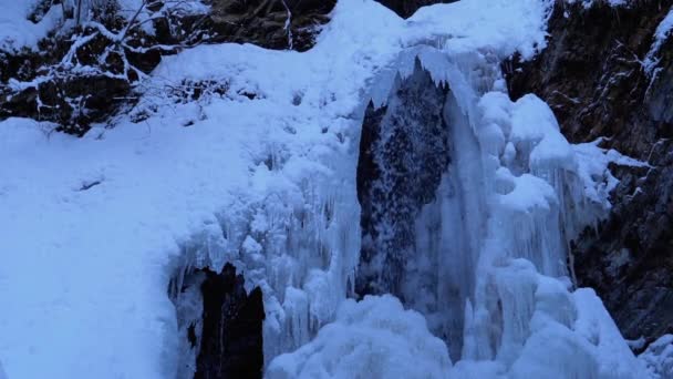 Guk Cascada de Invierno Congelado en las Montañas Cárpatas en el Bosque — Vídeos de Stock