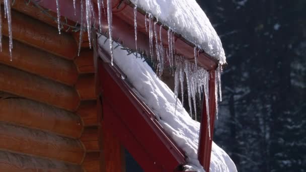 Icicles Melt and Dripping on the Sun Hanging on the Roof of Wooden House. Slow Motion