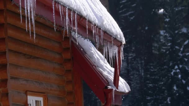 Icicles Melt and Dripping on the Sun Hanging on the Roof of Wooden House. Slow Motion