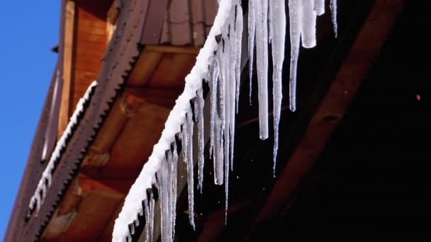 Les glaçons fondent et dégoulinent sur le soleil Suspendus sur le toit de la maison en bois. Mouvement lent — Video