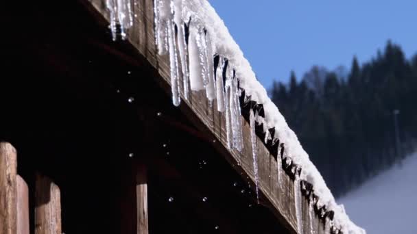 Icicles Derreter e gotejar no sol pendurado no telhado da casa de madeira. Movimento lento — Vídeo de Stock