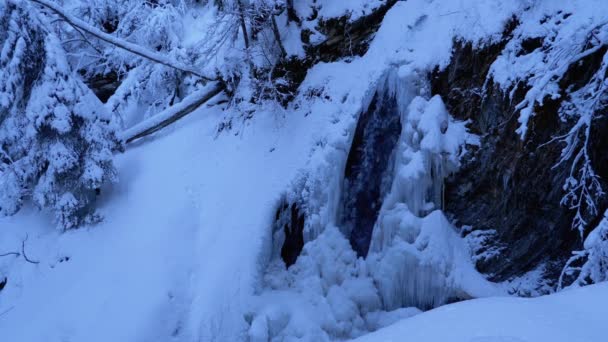 Guk de cachoeira de inverno congelado nas montanhas dos Cárpatos na floresta — Vídeo de Stock