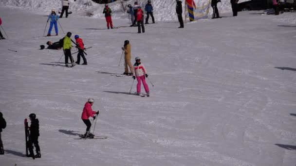 Skiers and Snowboarders Ride on a Snowy Slope at a Ski Resort — Wideo stockowe