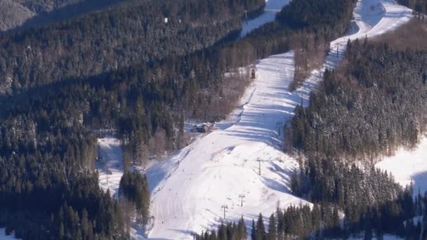 スキー&スノーボード｜サニーデーのスキー場の雪の斜面で山に乗る — ストック動画