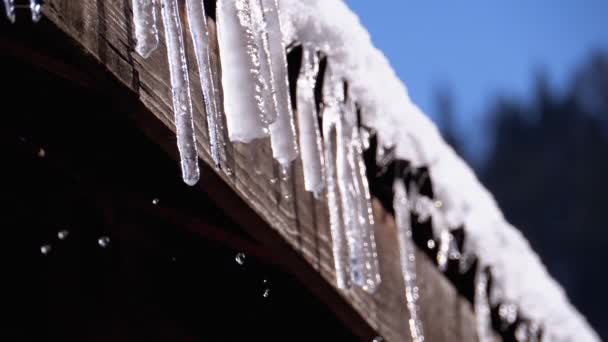 Icicles Melt and Dripping on the Sun Hanging on the Roof of Wooden House. Slow Motion — ストック動画