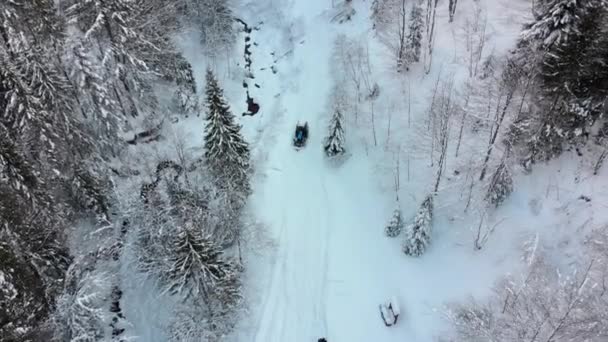 Vista aérea de um trator montado no caminho em uma floresta de coníferas nevadas de inverno . — Vídeo de Stock