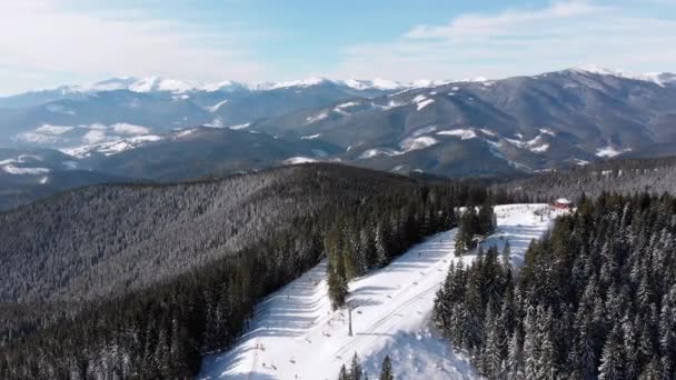 Kayakçılarla ve Kayak Tesisi 'nde Kayak Uçurumları. Karlı Dağ Ormanı — Stok video