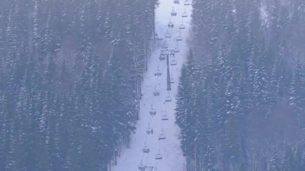 The Ski Lift between the Coniferous Trees in the Carpathian Mountains in the Ski Resort — Stockvideo
