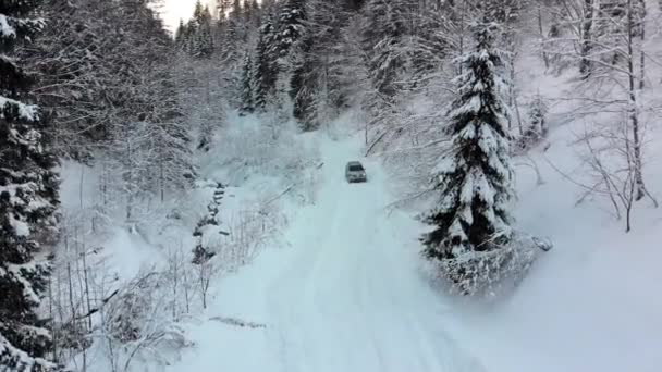 Вид с воздуха на одинокий автомобиль на снежной дороге в волшебном зимнем лесу — стоковое видео