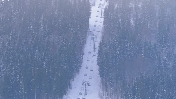 O elevador de esqui entre as árvores de coníferas nas montanhas dos Cárpatos na estância de esqui — Vídeo de Stock