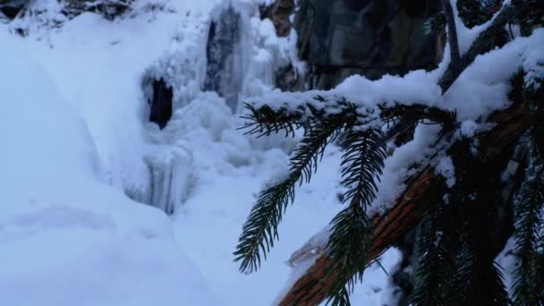 Paisaje de invierno en el bosque. Rama de abeto en la nieve del fondo de la cascada congelada . — Vídeos de Stock