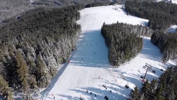 Aerial Stoki narciarskie z narciarzami i wyciągi narciarskie na ośrodku narciarskim w Snowy Fir Forest — Wideo stockowe