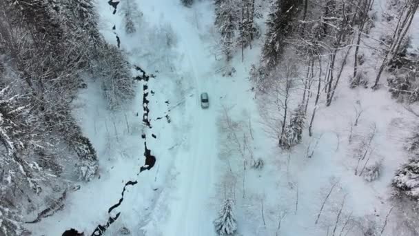 魔法冬季森林雪道上孤零零的汽车旅行空中景观 — 图库视频影像