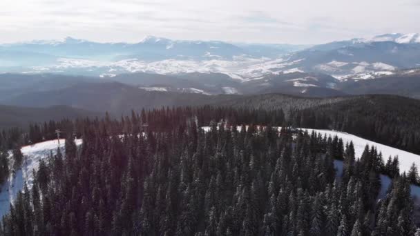Letecké sjezdovky s lyžaři a vleky na lyžařském středisku. Sněžný horský les — Stock video