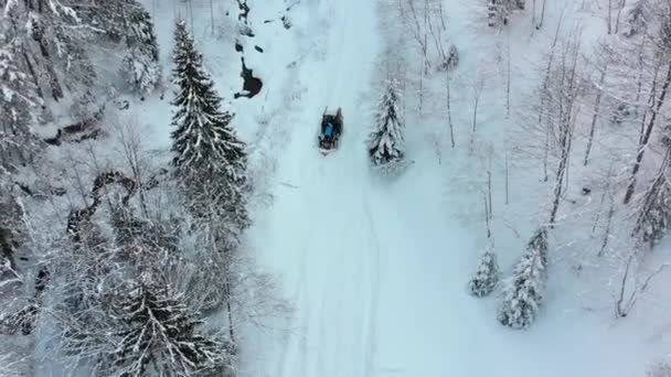 Vista aérea em um trator solitário Montando no caminho em uma floresta de inverno nevado — Vídeo de Stock