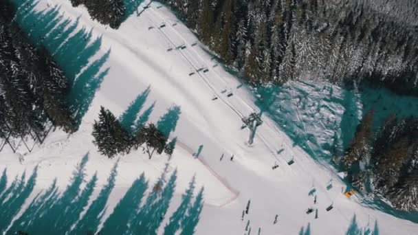 Flygskidbackar med skidåkare och skidliftar på skidorten i Snöig Fir Forest — Stockvideo