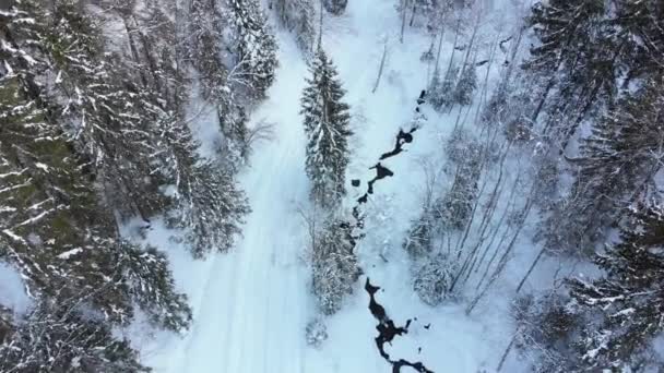 Vista aérea del bosque de coníferas de invierno cerca de las copas de los árboles en las montañas nevadas . — Vídeos de Stock