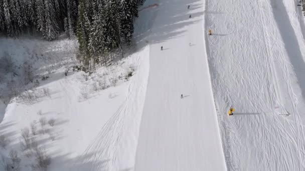 Nartostrady lotnicze z narciarzami i wyciągi narciarskie na ośrodku narciarskim. Snowy Mountain Forest — Wideo stockowe