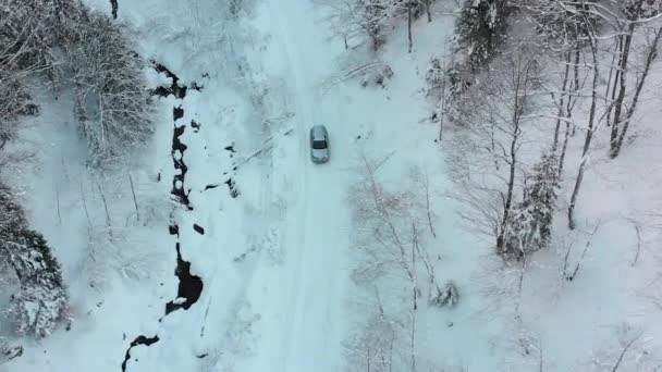 Aerial view on Lonely Car Riding on Snowy Road in Magic Winter Forest — Stock Video