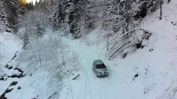 Aerial view on Car Riding on Snowy Road in a Winter Coniferous Forest — Αρχείο Βίντεο