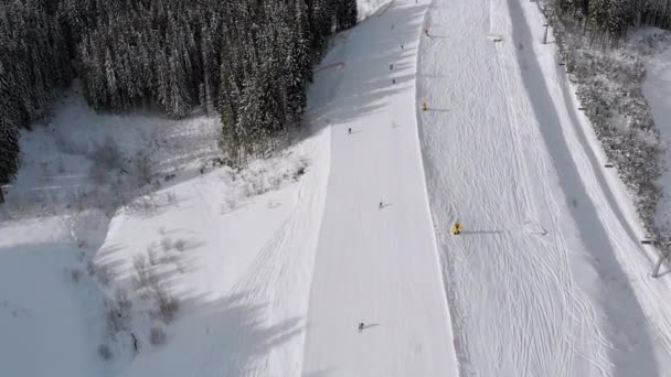 Aerial view of Skiers go Down Ski Slopes near Ski Lifts on Ski Resort. Bukovel — Stock Video