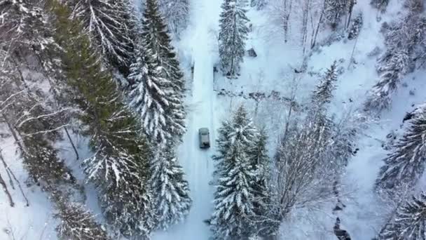 Αεροφωτογραφία για Lonely Car Riding στο Snowy Road στο μαγικό δάσος του χειμώνα — Αρχείο Βίντεο