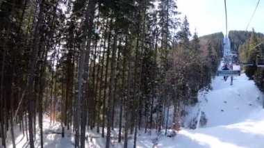 Kayak Sandalyesi Kaldırma 'dan Pov Cableway' de Çam Ormanı ve Kayakçılar Arasında Yükseliyor