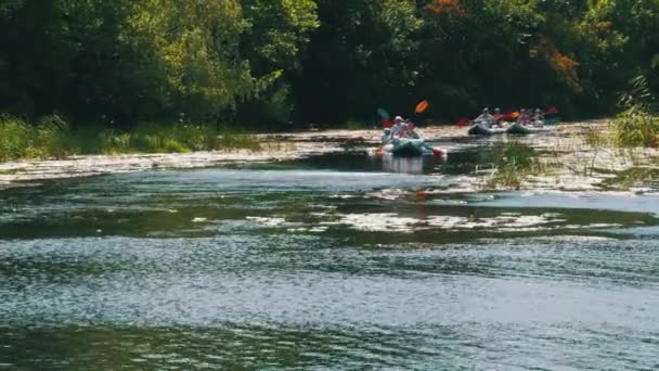 Emberek lebegnek a folyón egy hosszú hajón, kenu. Idegenforgalom — Stock videók