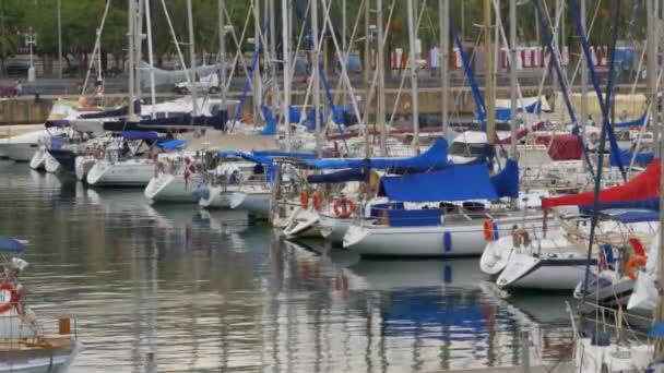 Припаркованные корабли, лодки, яхты в Rambla del Mar Port of Barcelona, Spain . — стоковое видео