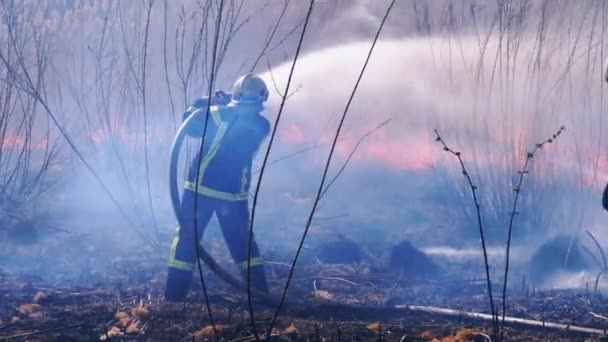 Två brandmän i utrustning släcker skogsbranden med brandslang. Långsamma rörelser — Stockvideo