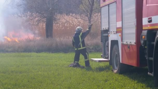 Bombeiro com mangueira de incêndio na floresta perto de um caminhão de bombeiros se prepara para extinguir incêndio — Vídeo de Stock