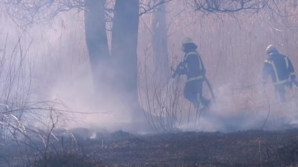 Två brandmän i utrustning släcker skogsbranden med brandslang. Långsamma rörelser — Stockvideo