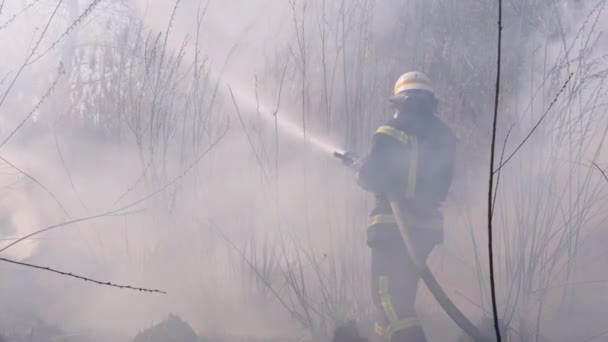 Пожарные в оборудовании тушат лесной пожар пожарным шлангом. Slow Motion — стоковое видео