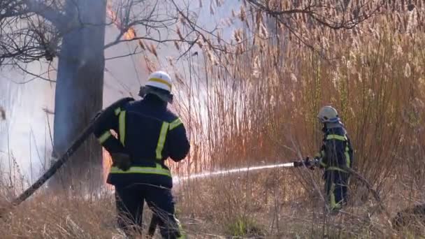 Два пожарных в снаряжении тушат лесной пожар из пожарного шланга. Slow Motion — стоковое видео