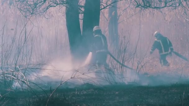 Zwei Feuerwehrleute in Ausrüstung löschen Waldbrand mit Feuerwehrschlauch Zeitlupe — Stockvideo