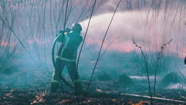 Due vigili del fuoco in attrezzature estinguere incendi boschivi con manichetta antincendio. Rallentatore — Video Stock