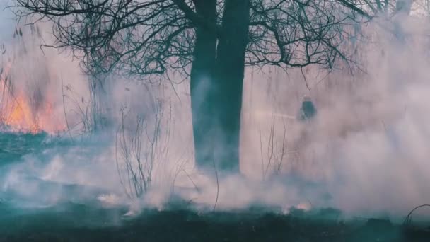 Pompiers dans l'équipement éteindre les incendies de forêt avec tuyau d'incendie. Mouvement lent 