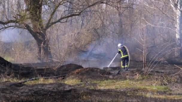 Brandweerman in apparatuur blussen Bosbrand met brandslang. Hout, Lente in Europa — Stockvideo