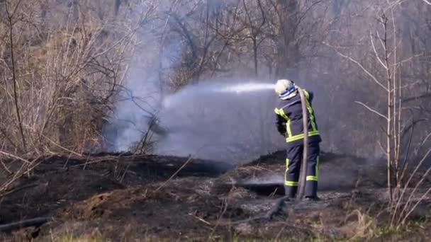 Brandweerman in apparatuur blussen Bosbrand met brandslang. Hout, Lente in Europa — Stockvideo