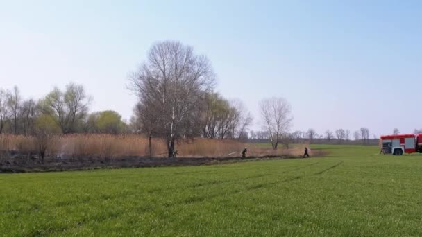 Feuerwehrleute ziehen Feuerwehrschlauch in Feuerwehrauto, nachdem sie trockenes Gras in der Nähe eines Waldes gelöscht haben — Stockvideo