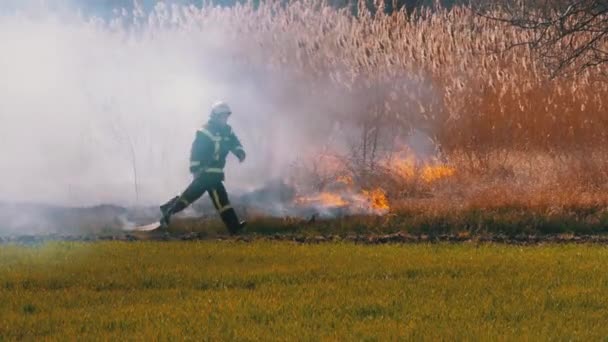 Feuerwehrmann läuft mit Schaufel durch brennenden trockenen Busch und Schilf in der Nähe des Waldes. — Stockvideo