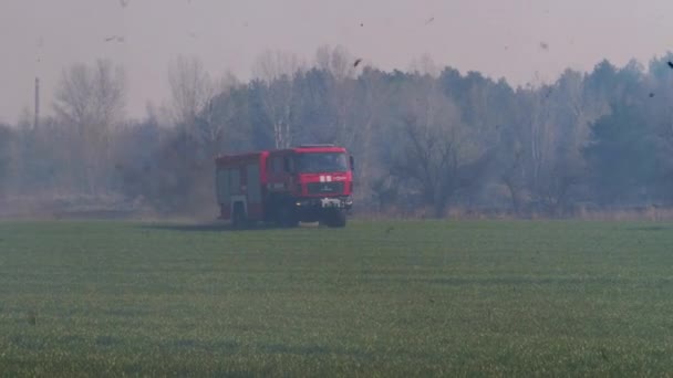 Brandweerwagen rijdt het bos in om een bosbrand te blussen. Dikke rook in de buurt — Stockvideo