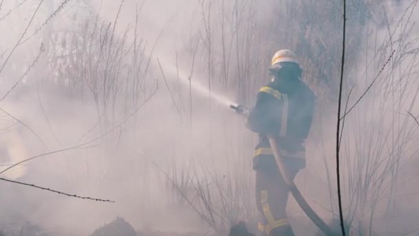 Brandweerlieden in apparatuur blussen bosbrand met brandslang. Langzame beweging — Stockvideo