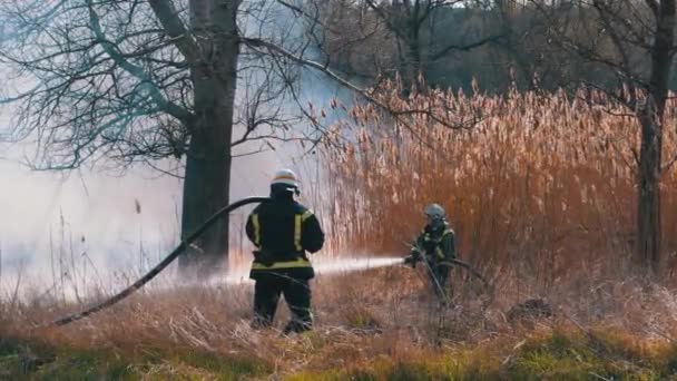 Två brandmän i utrustning släcker skogsbranden med brandslang. Långsamma rörelser — Stockvideo