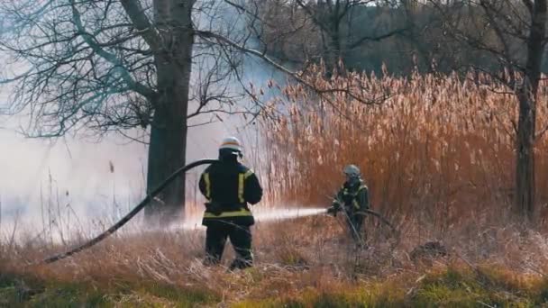 Dva hasiči v zařízení hasit lesní požár s požární hadicí. Pomalý pohyb — Stock video