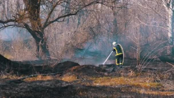 Пожарный в оборудовании тушит лесной пожар пожарным шлангом. Дерево, весенний день — стоковое видео