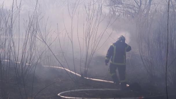 Bomberos en equipos extinguen incendios forestales con manguera de incendios. Moción lenta — Vídeos de Stock