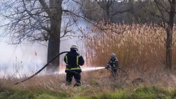 Dos bomberos en equipo extinguen incendios forestales con manguera de incendios. Moción lenta — Vídeo de stock