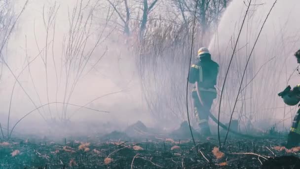 Twee brandweerlieden in apparatuur blussen bosbrand met brandslang. Langzame beweging — Stockvideo